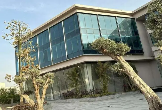 100092862 - صورة العقار 3