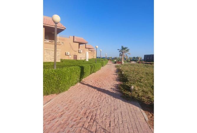 64904228 - Property Image 2