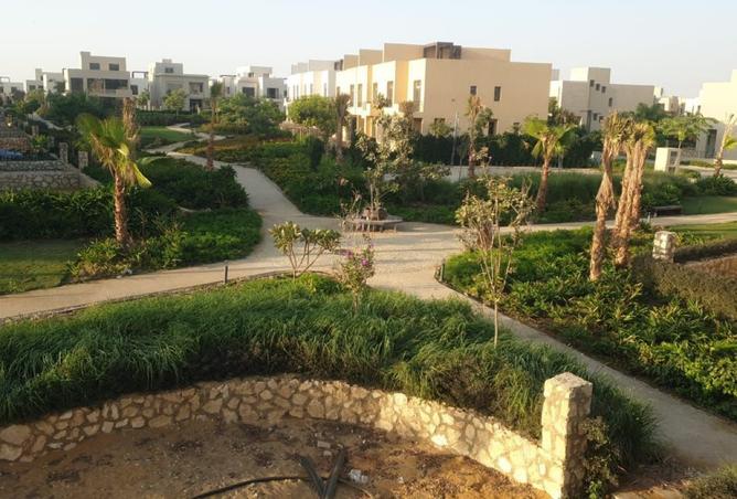 103481144 - صورة العقار 3