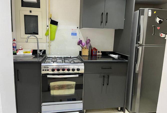 8586487 - Property Image 3