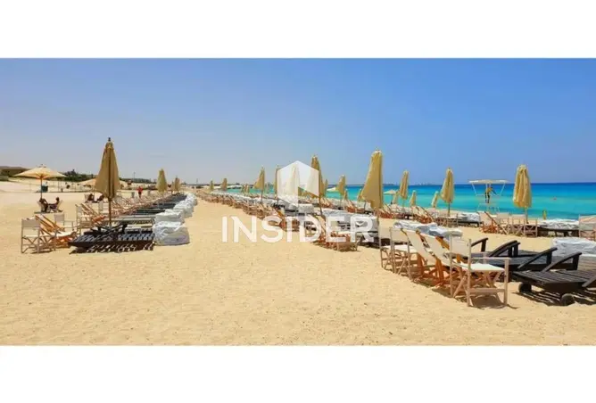 95486158 - Property Image 3