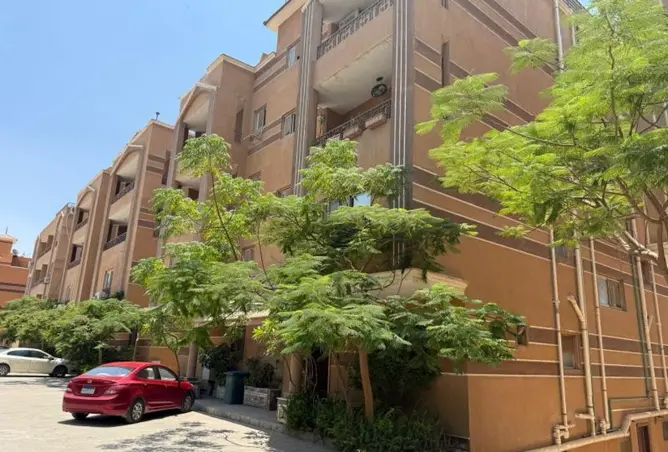 117280477 - صورة العقار 2