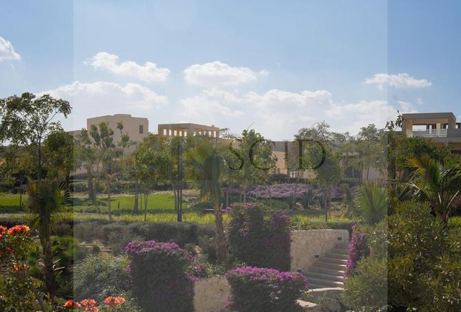 107980892 - Property Image 3