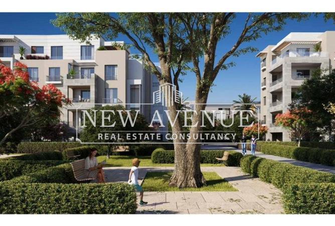 54495220 - Property Image 3