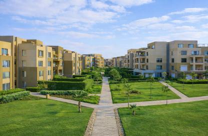Apartment - Studio - 1 for rent in Palm Parks   Palm Hills - South Dahshur Link - 6 October City - Giza