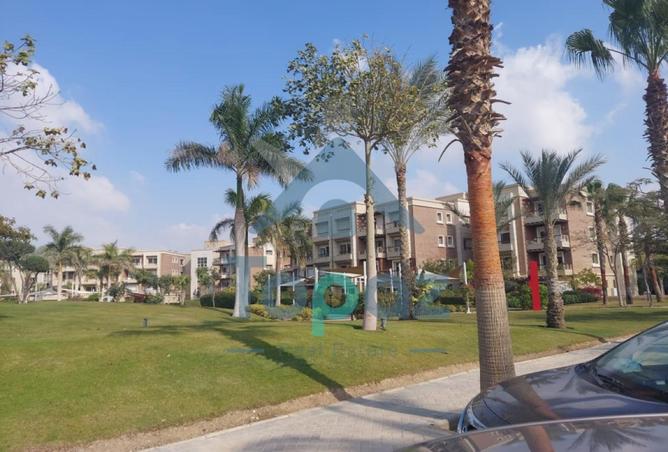 53467965 - صورة العقار 2