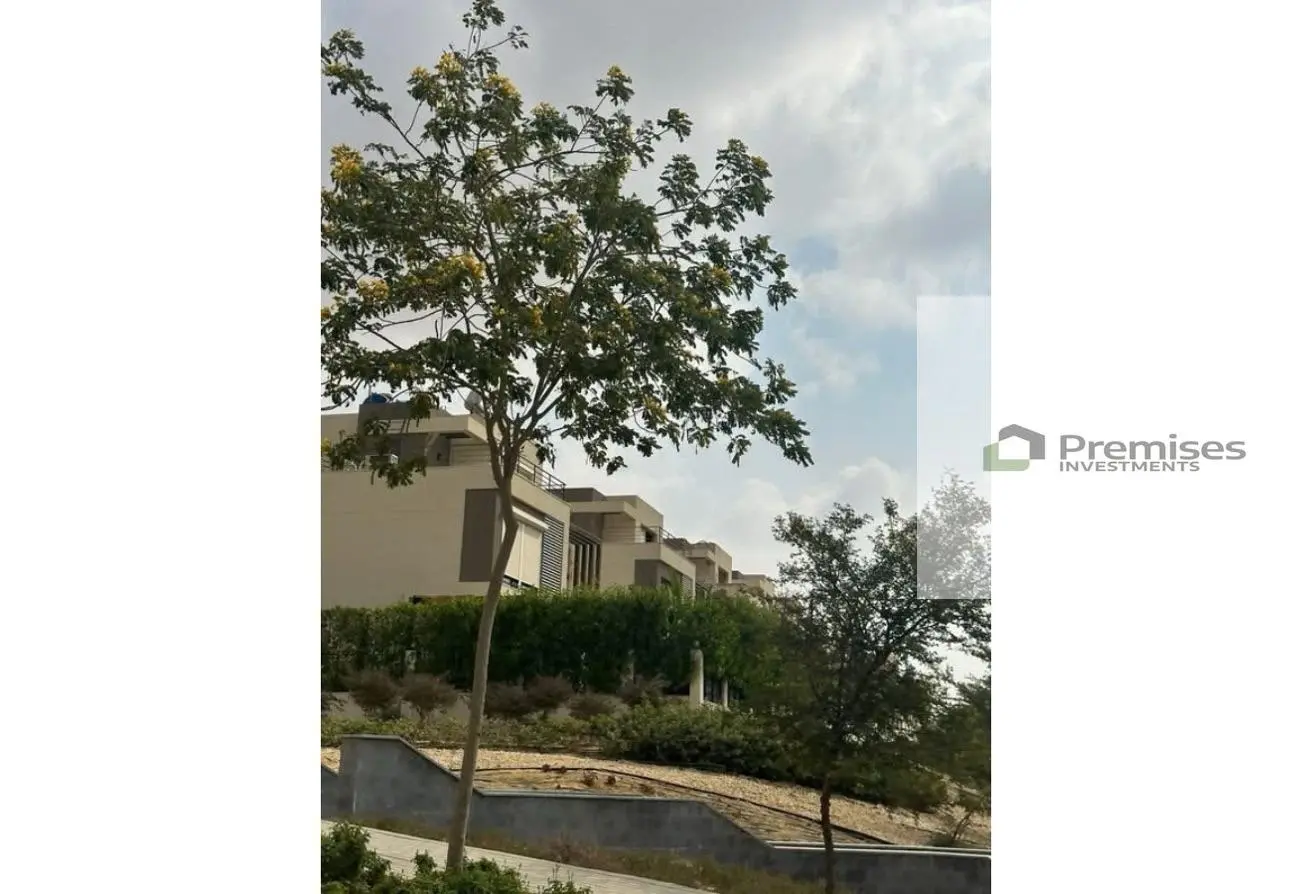 113263051 - Property Main Image