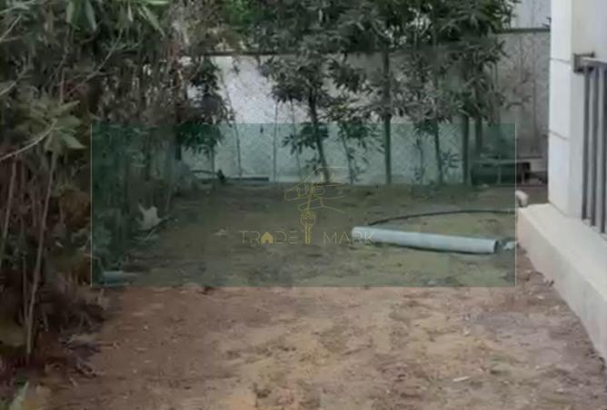 57993162 - صورة العقار 2