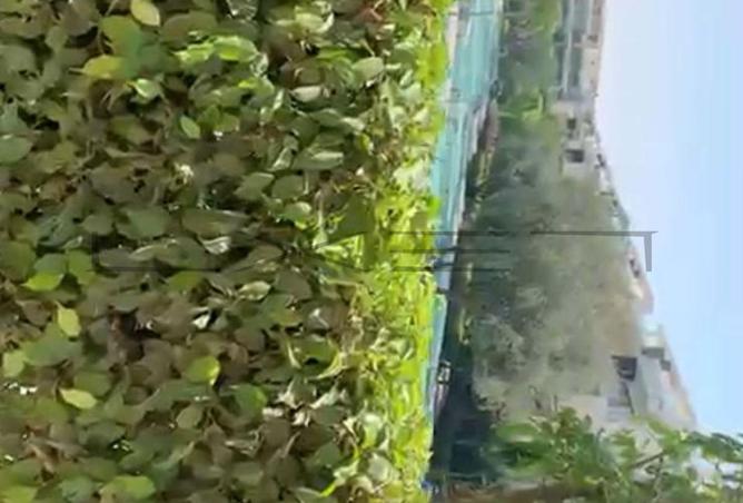 65164854 - Property Image 2