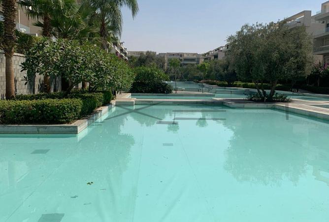 65164854 - Property Image 3