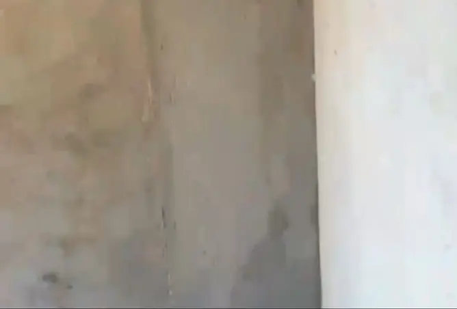 114353716 - صورة العقار 3