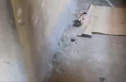 شقة - 2 - 1 للبيع في بيت الوطن - التجمع الخامس - مدينة القاهرة الجديدة - القاهرة شقة - 2 - 1 للبيع في بيت الوطن - التجمع الخامس - مدينة القاهرة الجديدة - القاهرة