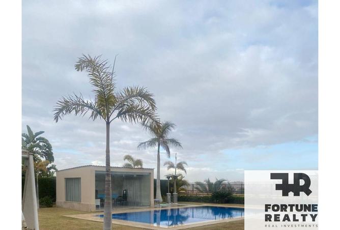 64126315 - Property Image 2