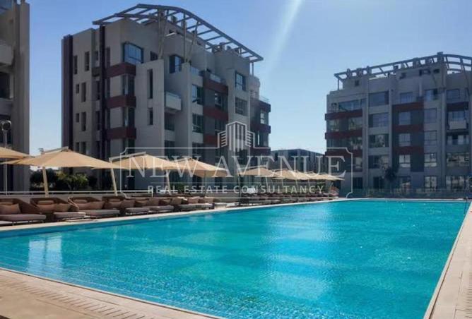 107691621 - Property Image 2