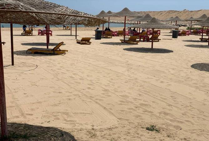 70109359 - صورة العقار 2