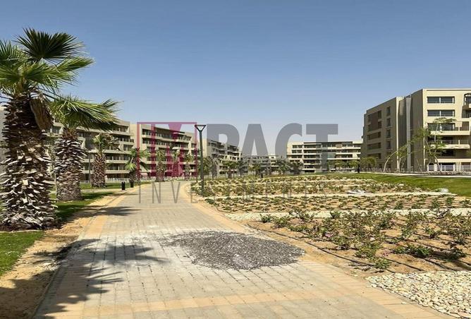 59748476 - Property Image 3