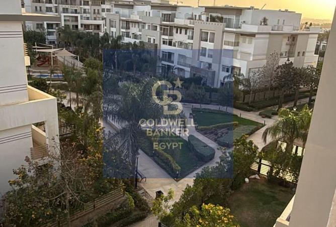 98826175 - Property Image 3