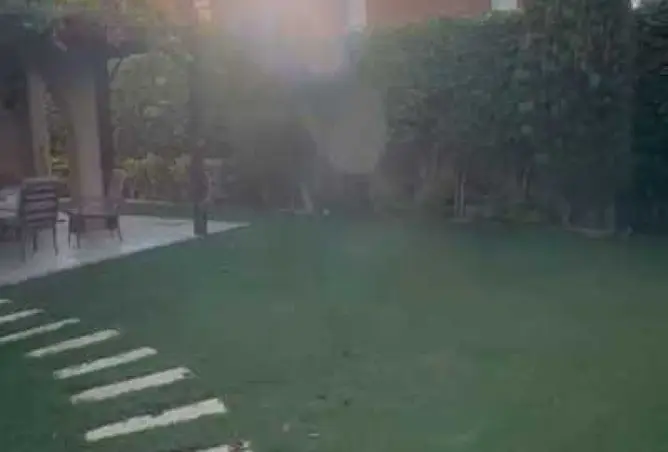 115165405 - صورة العقار 2