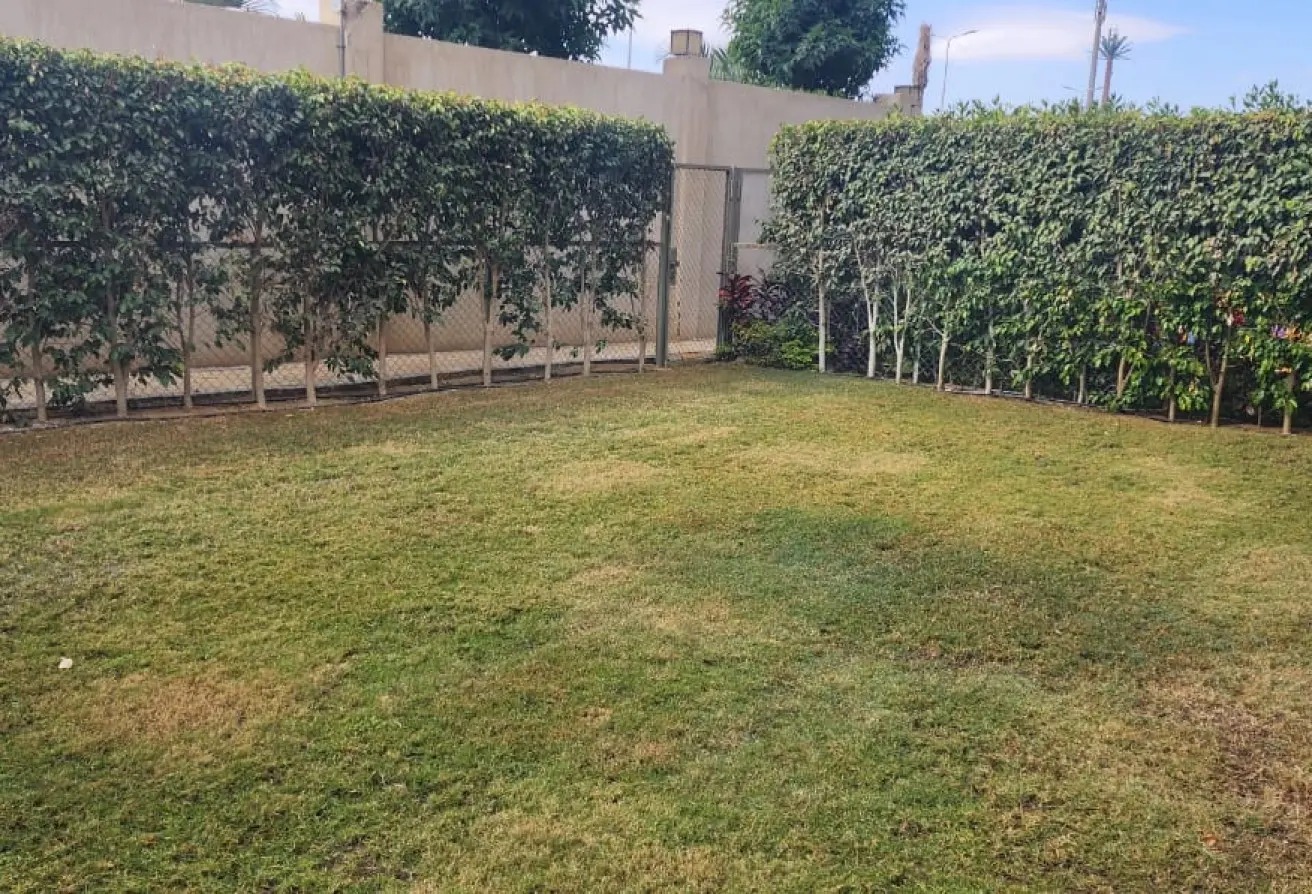 112985522 - الصورة الرئيسية للعقار