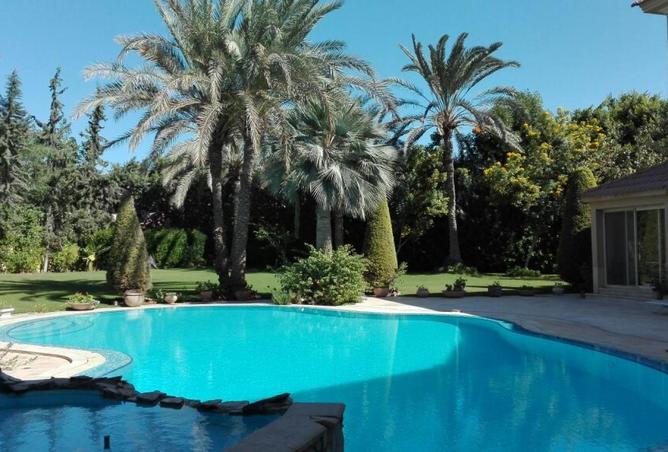 54237516 - صورة العقار 3