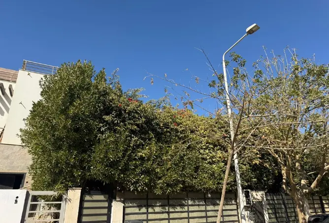 109349816 - صورة العقار 3