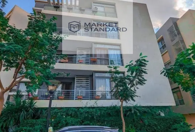117026158 - Property Image 2