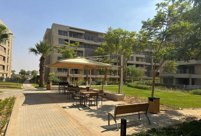 97147256 - Property Image 2