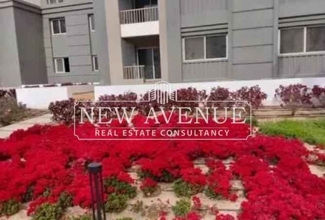 57488883 - Property Image 2