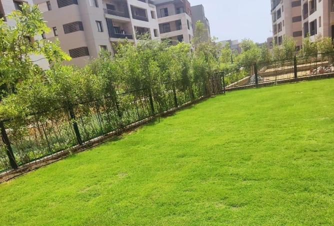 63146739 - Property Image 3