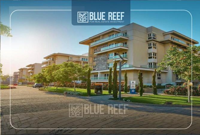 66955929 - الصورة الرئيسية للعقار