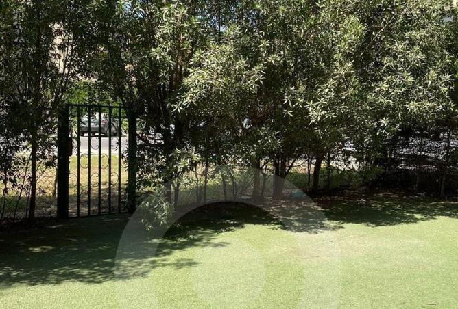 62400897 - صورة العقار 3