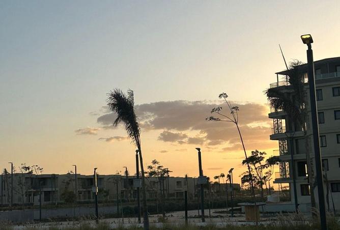 68005376 - صورة العقار 3