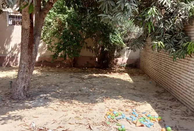 118538567 - Property Image 3