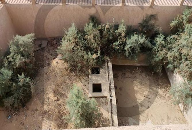 3960221 - صورة العقار 2