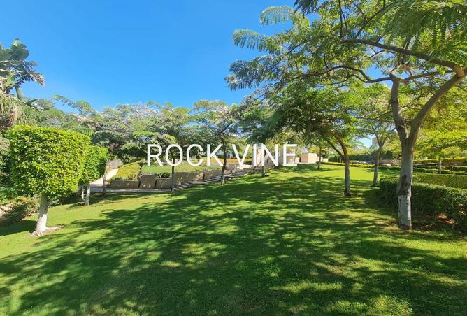 104879235 - Property Image 2