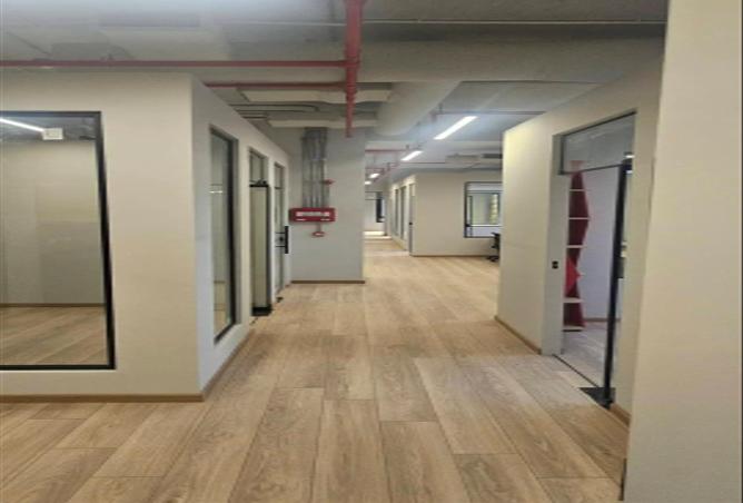 58241654 - Property Image 3