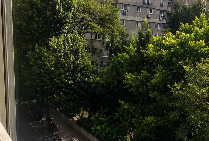 102355281 - صورة العقار 2