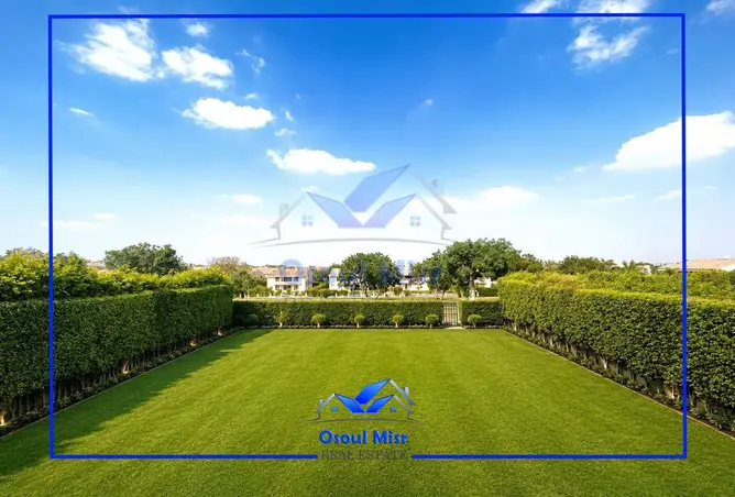 117525427 - Property Image 3