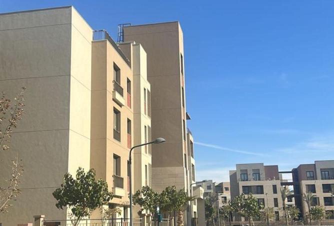 54247036 - Property Image 3