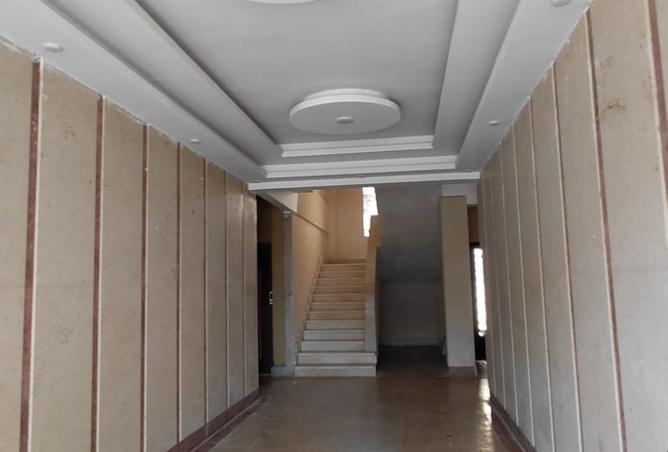 81046505 - صورة العقار 3