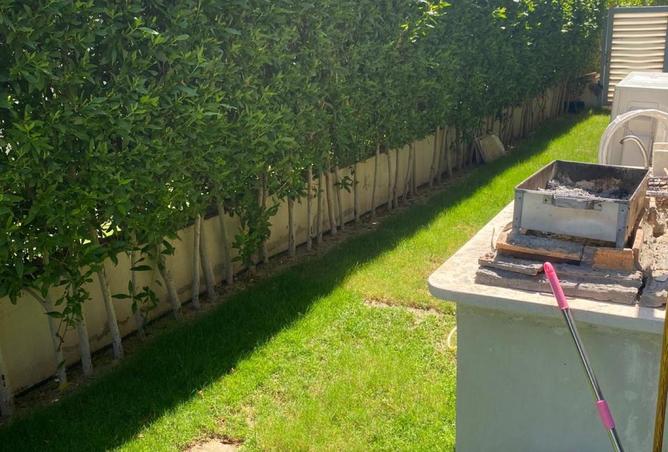 53973404 - صورة العقار 2