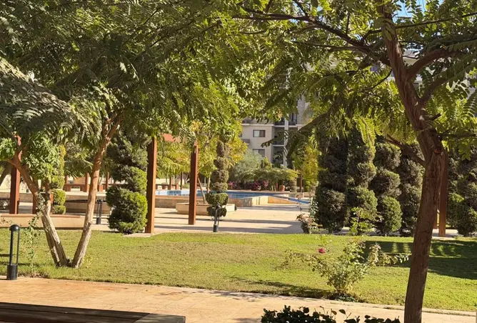 114623565 - صورة العقار 3