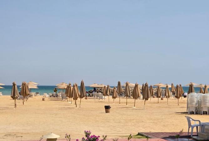 52714214 - Property Image 3