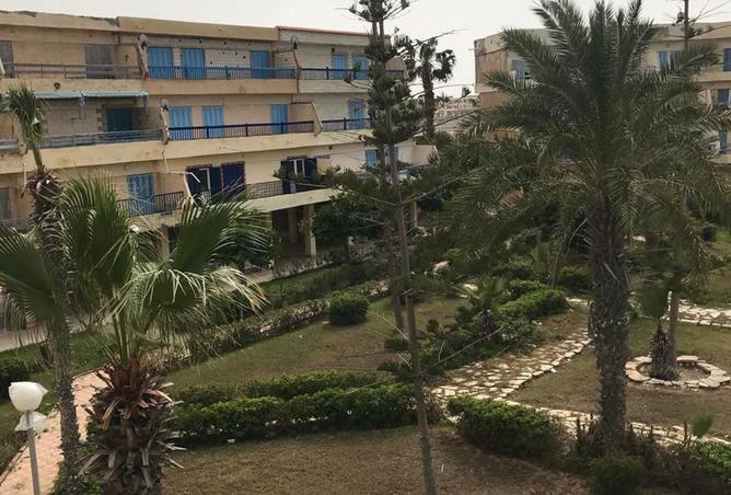 8477964 - الصورة الرئيسية للعقار