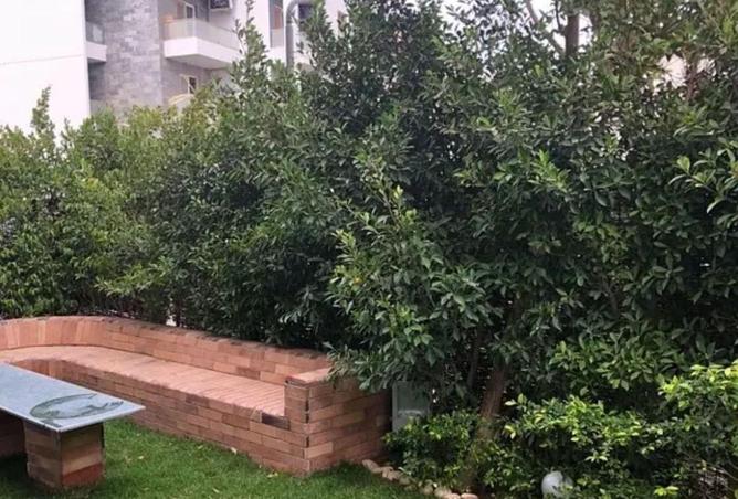 62647970 - صورة العقار 3