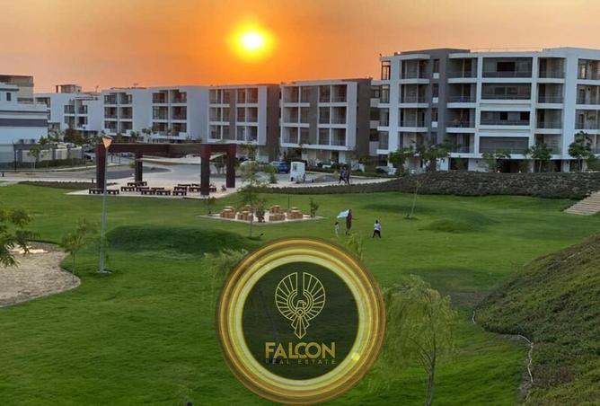 56002869 - صورة العقار 3