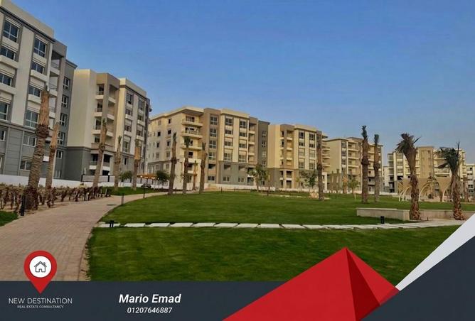 66964875 - صورة العقار 2