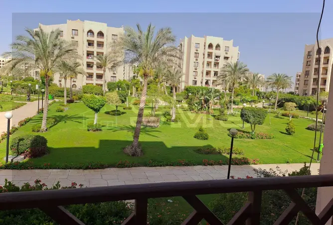 117541072 - Property Image 2