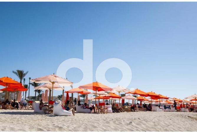 97443077 - Property Image 3