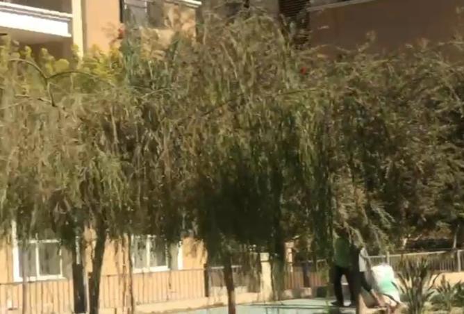 8525158 - صورة العقار 3